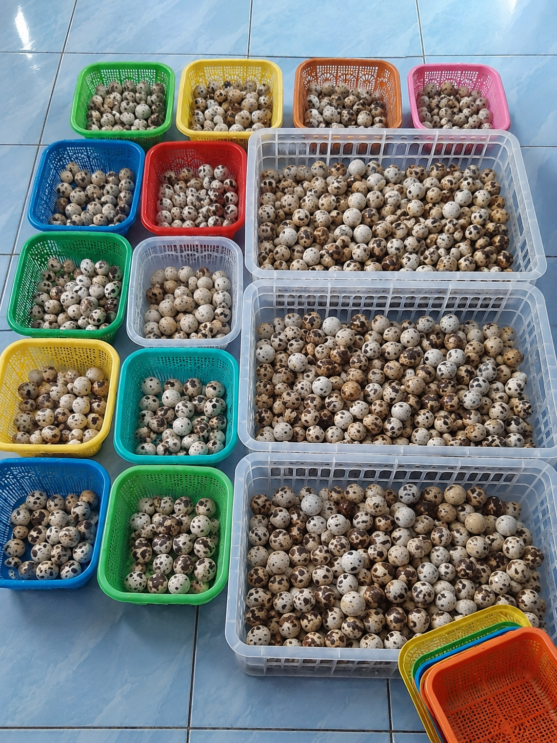 Telur puyuh per kg